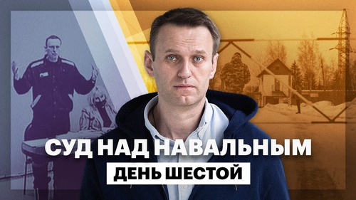 Суд над Навальным: день шестой